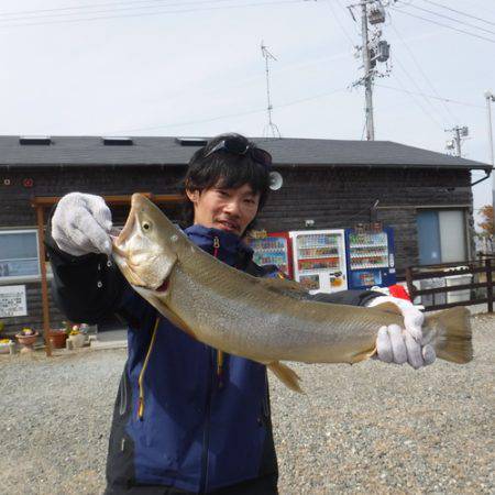 浜名湖フィッシングリゾート 釣果