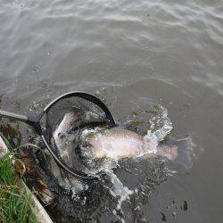 浜名湖フィッシングリゾート 釣果