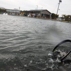 浜名湖フィッシングリゾート 釣果