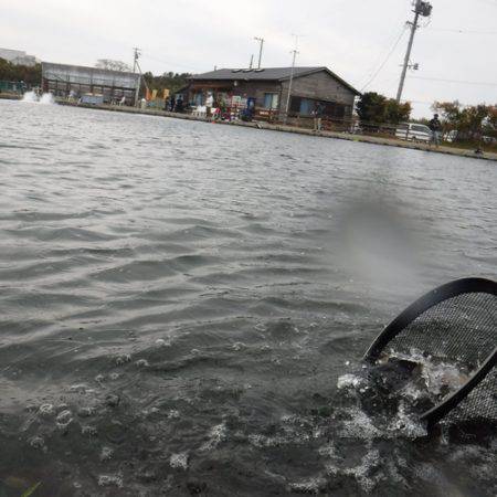 浜名湖フィッシングリゾート 釣果
