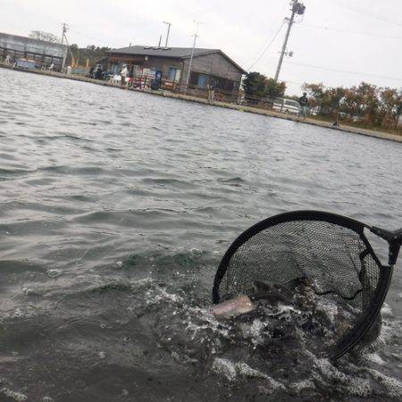 浜名湖フィッシングリゾート 釣果