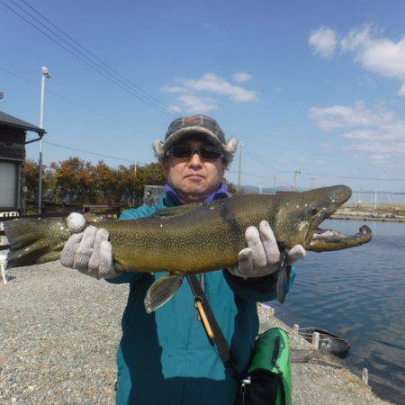 浜名湖フィッシングリゾート 釣果