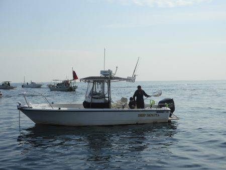 Fisherman Dreams DI 釣果