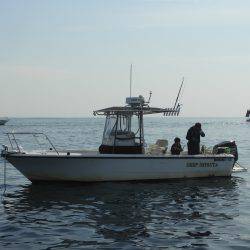 Fisherman Dreams DI 釣果