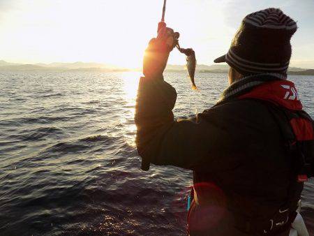 フィッシングボート空風 釣果