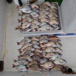 フィッシングボート空風(そらかぜ) 釣果