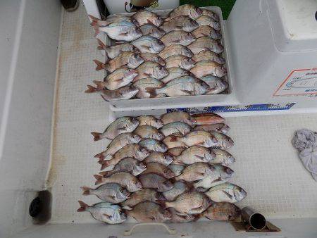 フィッシングボート空風 釣果