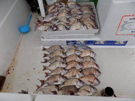 フィッシングボート空風（そらかぜ） 釣果