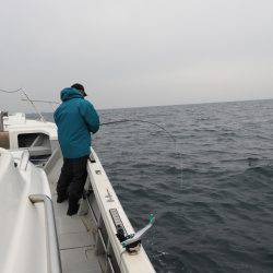 Fisherman Dreams DI 釣果