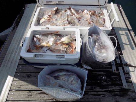 フィッシングボート空風（そらかぜ） 釣果