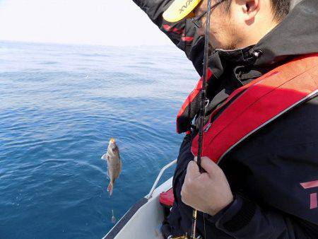 フィッシングボート空風(そらかぜ) 釣果