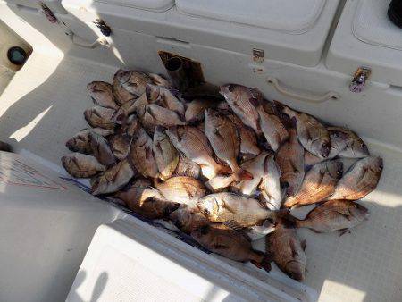 フィッシングボート空風(そらかぜ) 釣果