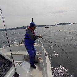 フィッシングボート空風(そらかぜ) 釣果