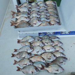 フィッシングボート空風(そらかぜ) 釣果