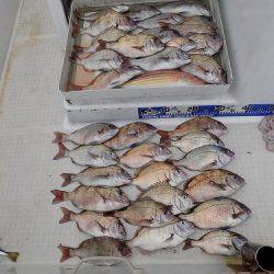 フィッシングボート空風(そらかぜ) 釣果