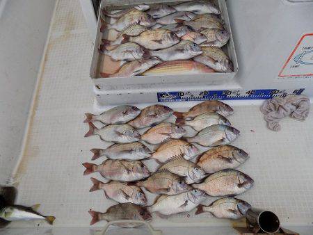 フィッシングボート空風（そらかぜ） 釣果