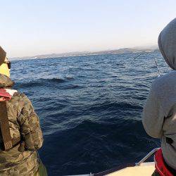 フィッシングボート空風(そらかぜ) 釣果