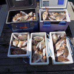 フィッシングボート空風(そらかぜ) 釣果