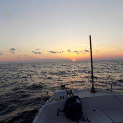 フィッシングボート空風(そらかぜ) 釣果