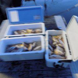 フィッシングボート空風(そらかぜ) 釣果