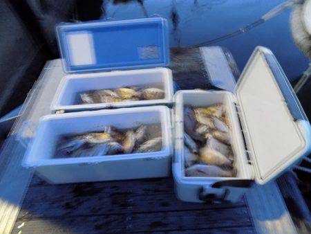 フィッシングボート空風(そらかぜ) 釣果