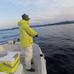 フィッシングボート空風(そらかぜ) 釣果