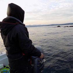 フィッシングボート空風(そらかぜ) 釣果