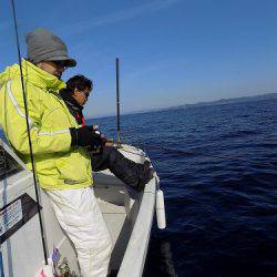 フィッシングボート空風(そらかぜ) 釣果