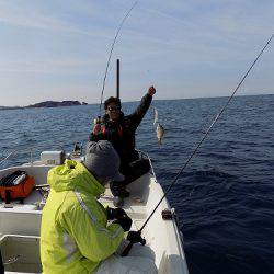フィッシングボート空風(そらかぜ) 釣果