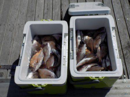 フィッシングボート空風(そらかぜ) 釣果