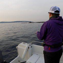 フィッシングボート空風（そらかぜ） 釣果