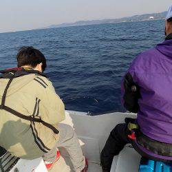 フィッシングボート空風（そらかぜ） 釣果