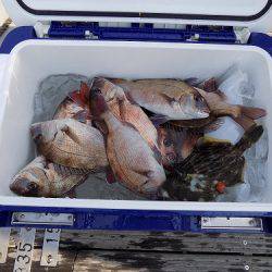 フィッシングボート空風（そらかぜ） 釣果