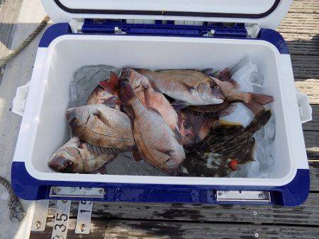 フィッシングボート空風（そらかぜ） 釣果