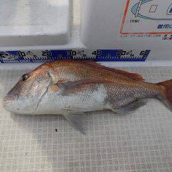 フィッシングボート空風(そらかぜ) 釣果