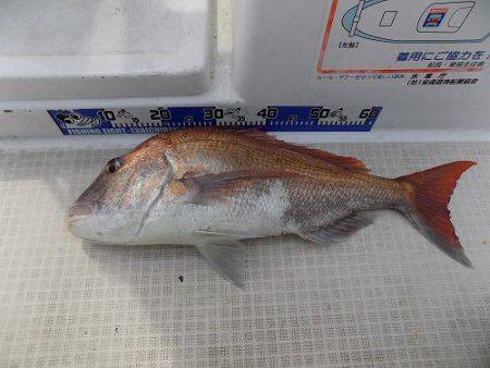 フィッシングボート空風(そらかぜ) 釣果