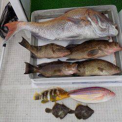 フィッシングボート空風(そらかぜ) 釣果