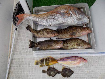 フィッシングボート空風（そらかぜ） 釣果