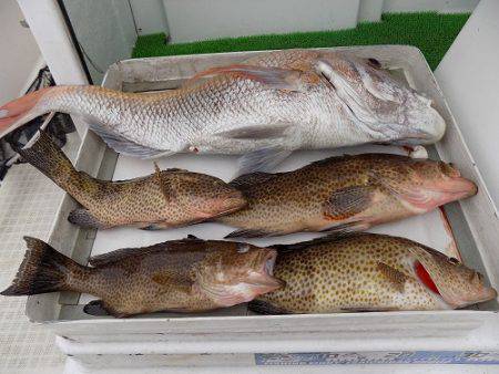 フィッシングボート空風(そらかぜ) 釣果