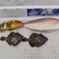 フィッシングボート空風(そらかぜ) 釣果