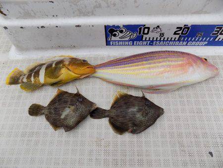 フィッシングボート空風(そらかぜ) 釣果