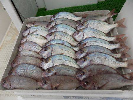 フィッシングボート空風(そらかぜ) 釣果