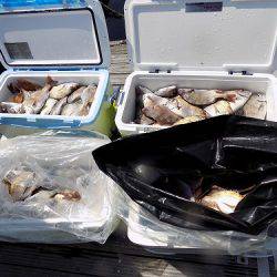 フィッシングボート空風(そらかぜ) 釣果