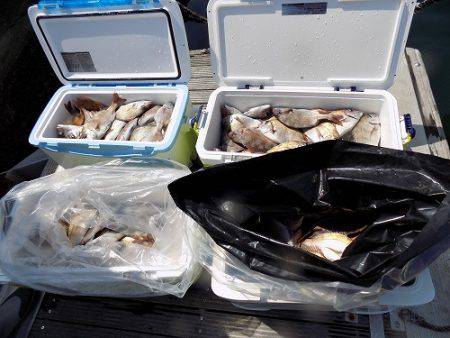 フィッシングボート空風(そらかぜ) 釣果