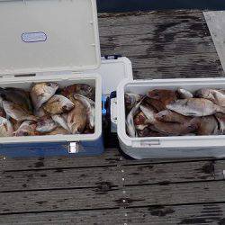 フィッシングボート空風(そらかぜ) 釣果