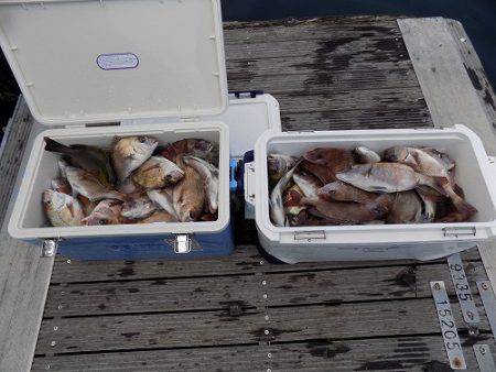 フィッシングボート空風(そらかぜ) 釣果