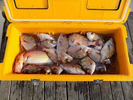 フィッシングボート空風(そらかぜ) 釣果