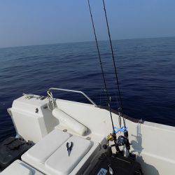 フィッシングボート空風(そらかぜ) 釣果