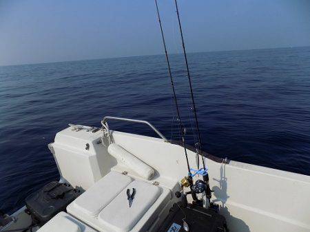 フィッシングボート空風(そらかぜ) 釣果