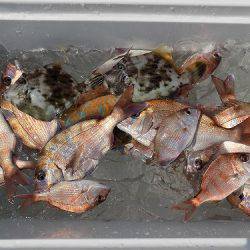 フィッシングボート空風(そらかぜ) 釣果